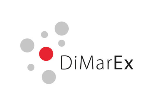 DiMarEx | Digitale Marketing Exposition